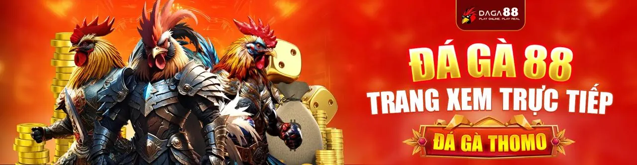 Sân Chọi Gà Trực Tuyến Q99