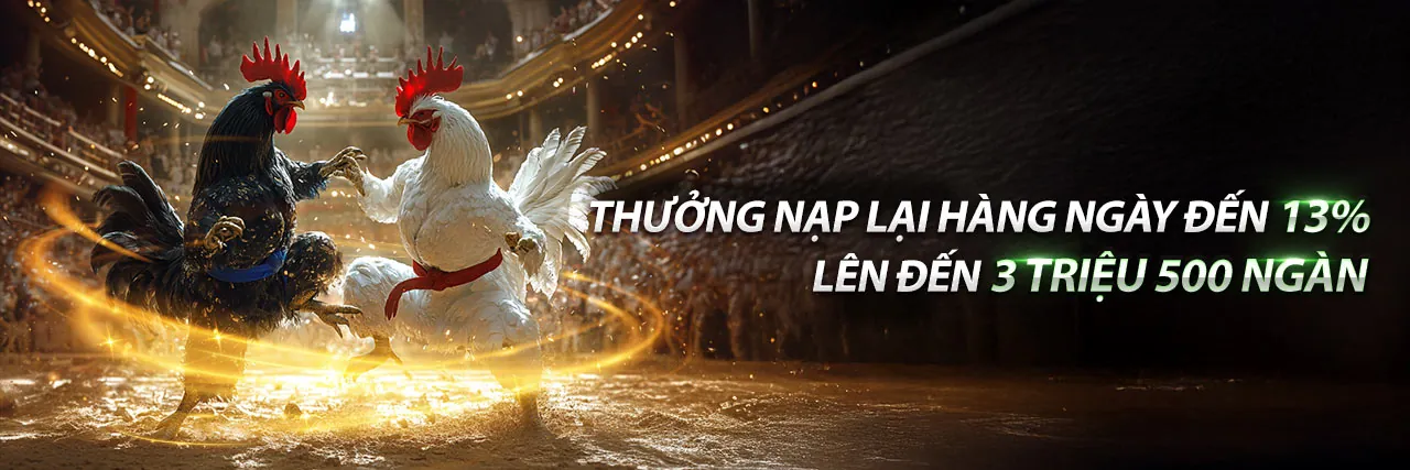Hình ảnh đại diện về Trách nhiệm cờ bạc tại Q99 Trang Chủ